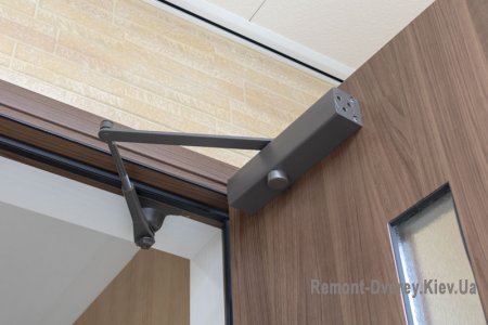 Дверной доводчик