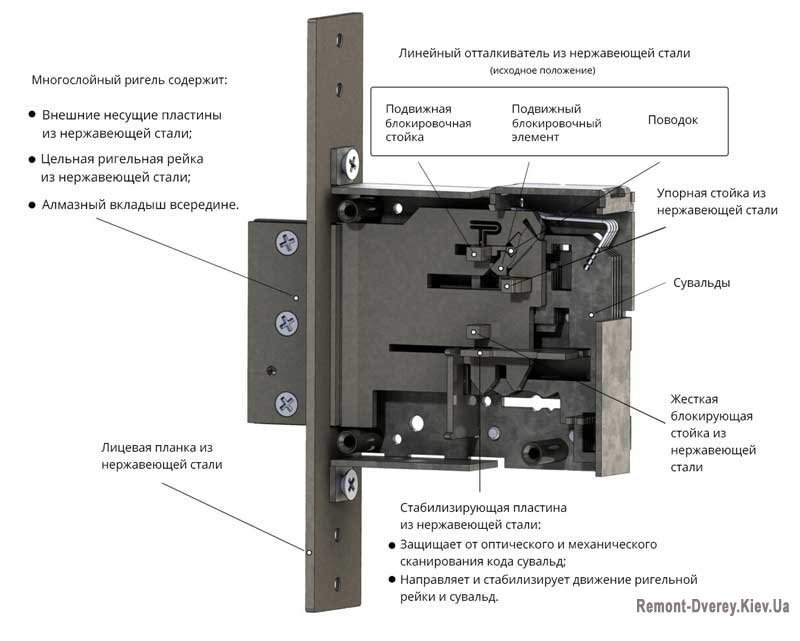 Радлок Мимоза Радлок Мимоза